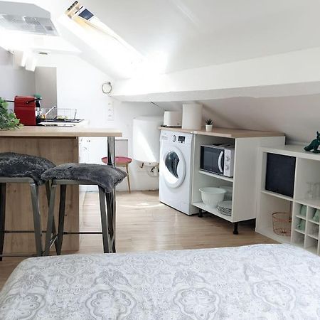 Cosy Lys - Studio - Centre Ville Pau Dış mekan fotoğraf