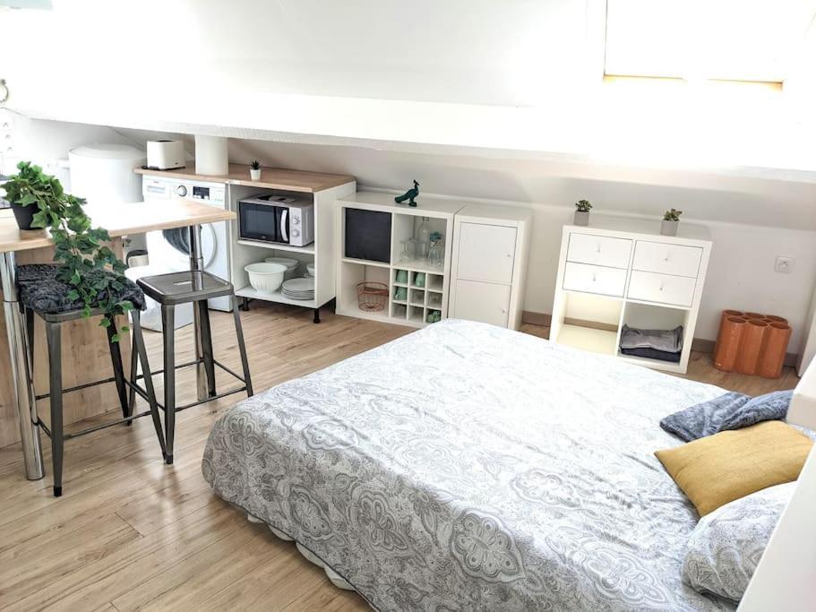 Cosy Lys - Studio - Centre Ville Pau Dış mekan fotoğraf