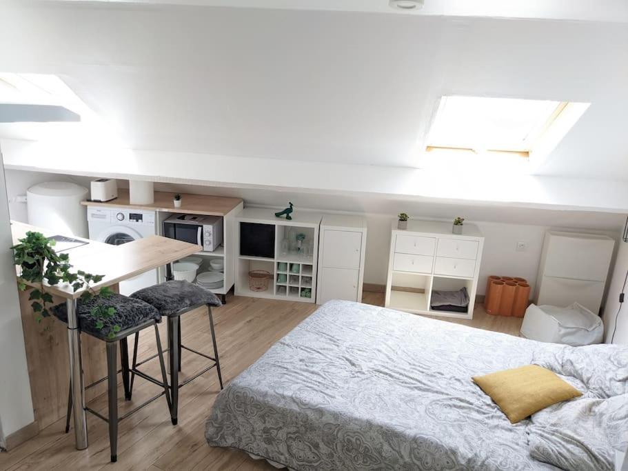 Cosy Lys - Studio - Centre Ville Pau Dış mekan fotoğraf
